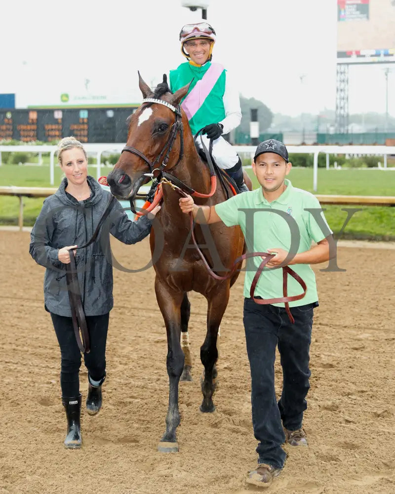 Scylla - The Shawnee G3 5Th Running 06-01-24 R08 Cd Walk In 01 Churchill Downs