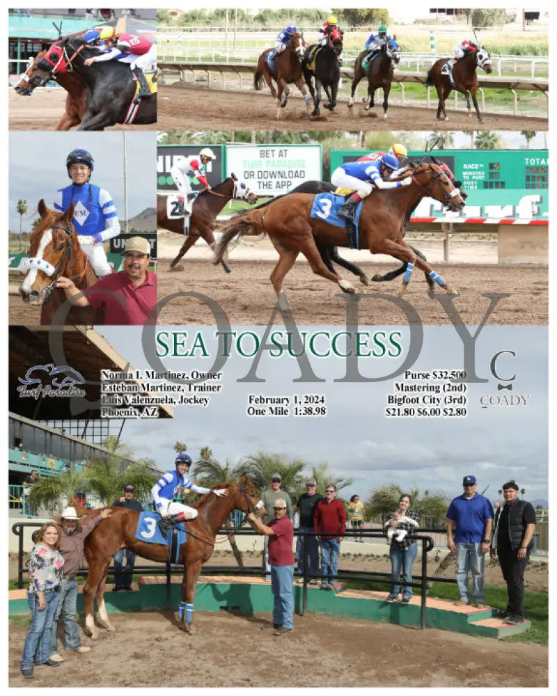 Sea To Success - 02-01-24 R05 Tup Turf Paradise
