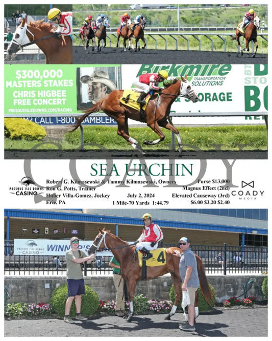 Sea Urchin - 07-02-24 R01 Pid Presque Isle Downs