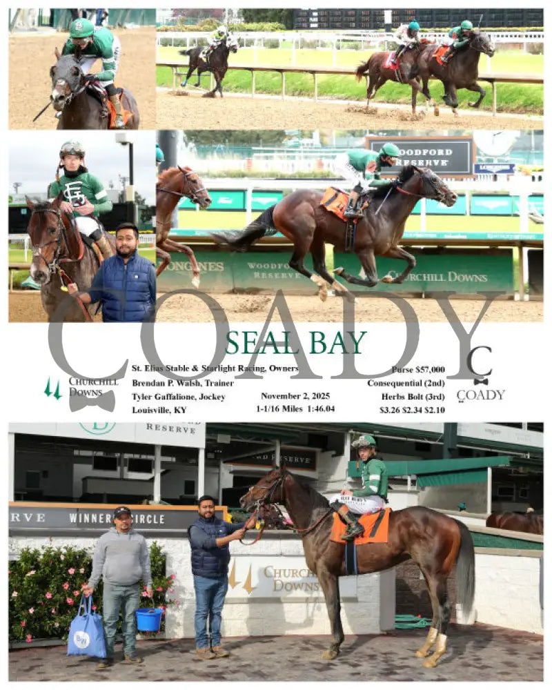 SEAL BAY - 11-02-25 - R02 - CD Churchill Downs