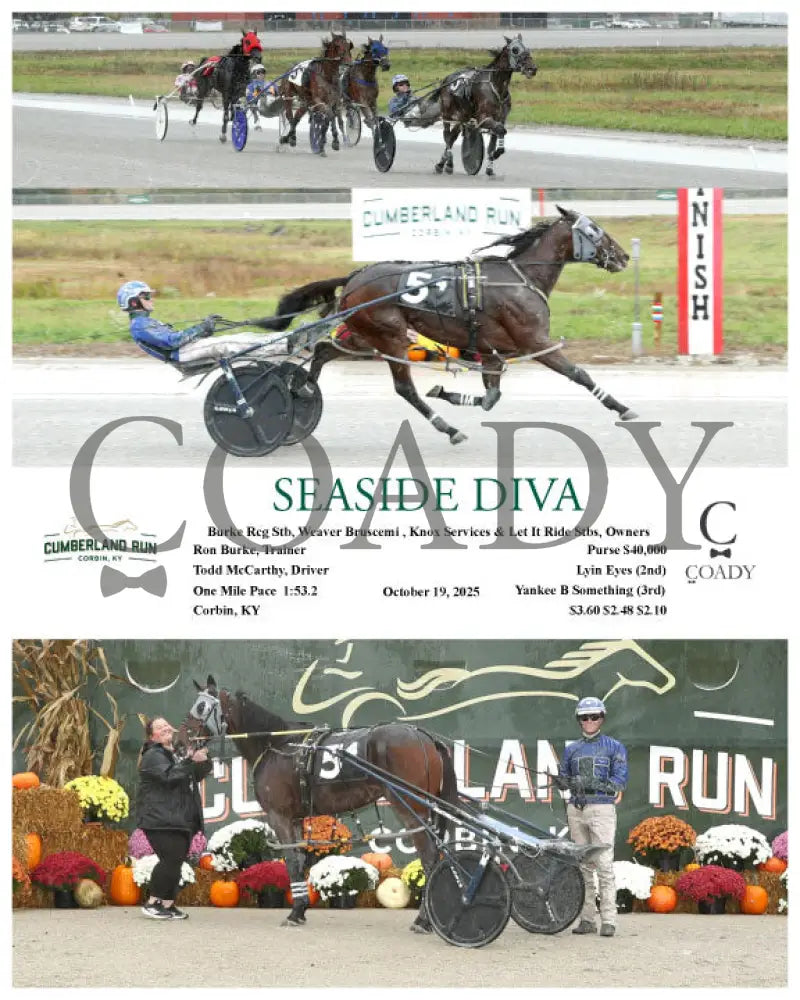 SEASIDE DIVA - 101925 - Race 04 - CMR Presque Isle Downs