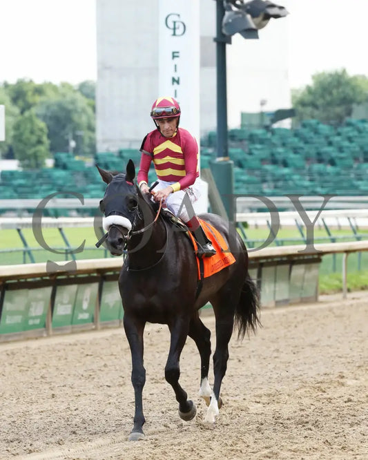 Secret Message - Old Forester Mint Julep G3 44Th Running 05-30-20 R11 Cd Come Back 02 Churchill