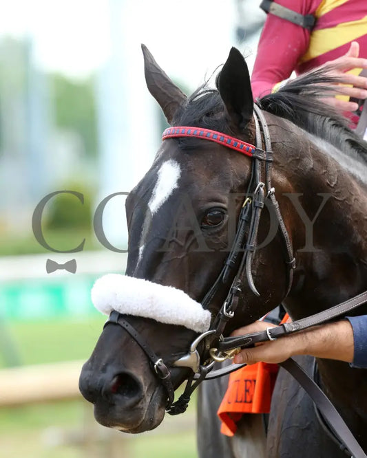 Secret Message - Old Forester Mint Julep G3 44Th Running 05-30-20 R11 Cd Come Back 03 Churchill