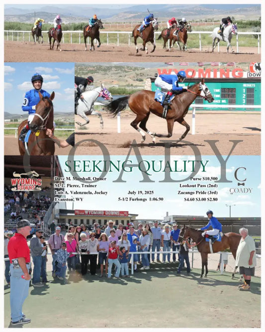 SEEKING QUALITY - 07-19-25 - R08 - WYO Wyoming Downs