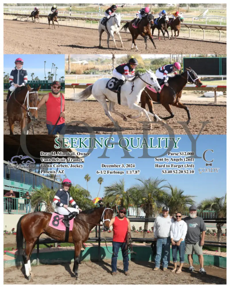 Seeking Quality - 12-03-24 R03 Tup Turf Paradise