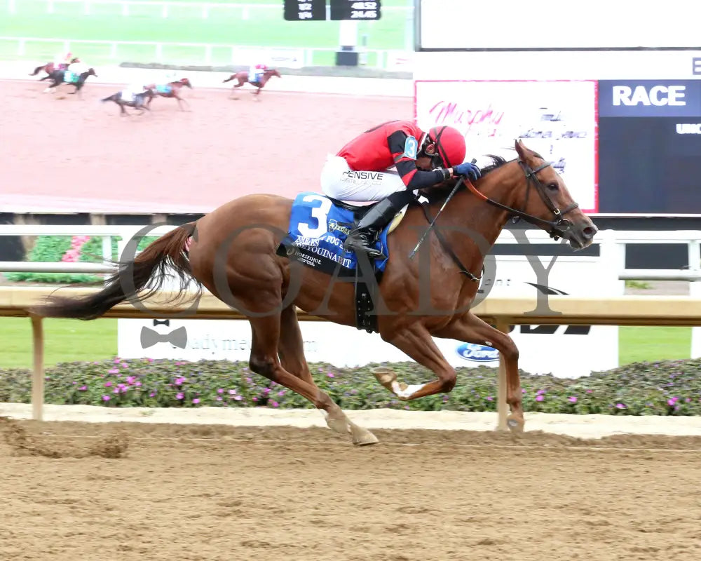SEEYOUINABIT - Lady Fog Horn - 6th Running - 10-25-25 - R03 - Horseshoe Indiana - Finish 01 - Sammantha Pagels Indiana