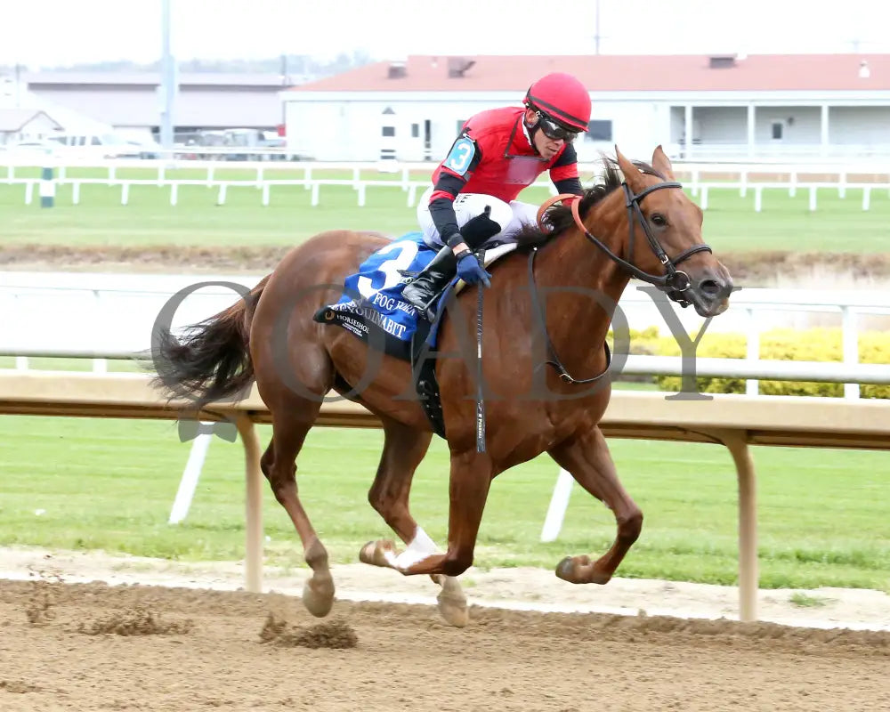SEEYOUINABIT - Lady Fog Horn - 6th Running - 10-25-25 - R03 - Horseshoe Indiana - Finish 02 - Sammantha Pagels Indiana