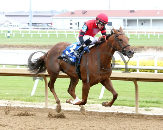 SEEYOUINABIT - Lady Fog Horn - 6th Running - 10-25-25 - R03 - Horseshoe Indiana - Finish 02 - Sammantha Pagels Indiana