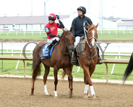 SEEYOUINABIT - Lady Fog Horn - 6th Running - 10-25-25 - R03 - Horseshoe Indiana - Post Parade 01 - Devin Hall Indiana