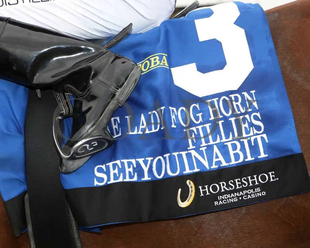 SEEYOUINABIT - Lady Fog Horn - 6th Running - 10-25-25 - R03 - Horseshoe Indiana - Saddle Towel 01 - Sammantha Pagels