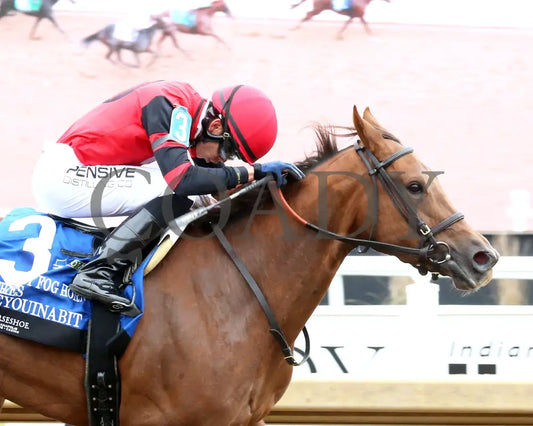 SEEYOUINABIT - Lady Fog Horn - 6th Running - 10-25-25 - R03 - Horseshoe Indiana - Tight Finish 01 - Devin Hall Indiana