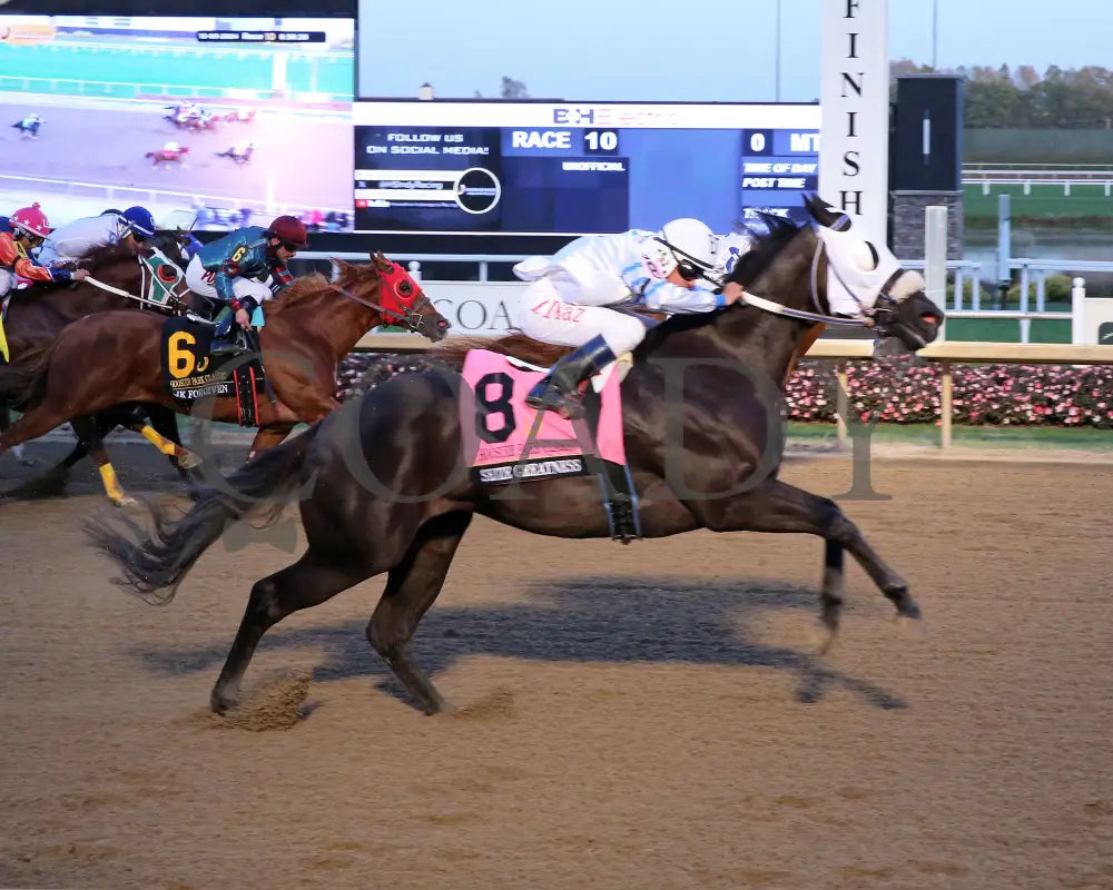 Seize Greatness - 10-09-24 R10 Horseshoe Indiana Finish 01 Sammantha Pagels Grand