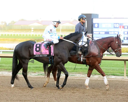 Seize Greatness - 10-09-24 R10 Horseshoe Indiana Post Parade 01 Sammantha Pagels Grand
