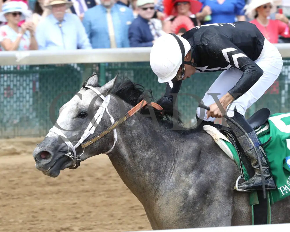 Seize The Grey - The Pat Day Mile G2 100Th Running 05-04-24 R08 Churchill Downs Inside Finish 01