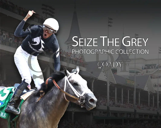 Seize The Grey - Photographic Collection Book