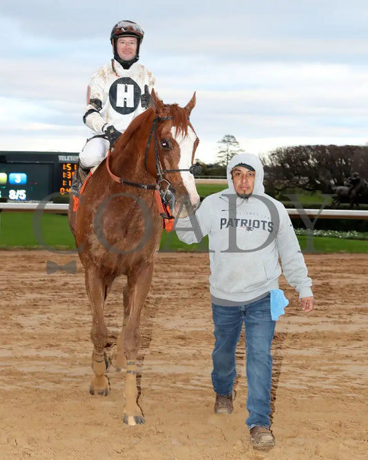 Seize The Night - The Tinsel Stakes 01-05-25 R09 Op Come Back 01 Oaklawn Park