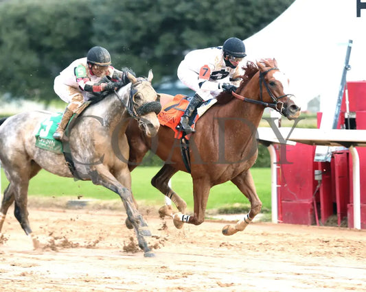 Seize The Night - The Tinsel Stakes 01-05-25 R09 Op Finish 02 Oaklawn Park
