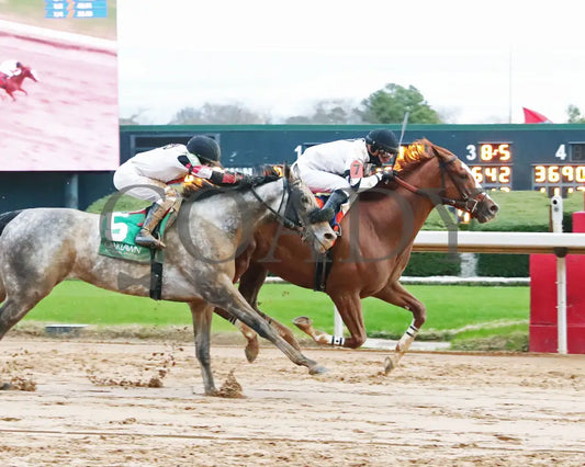 Seize The Night - The Tinsel Stakes 01-05-25 R09 Op Finish 01 Oaklawn Park