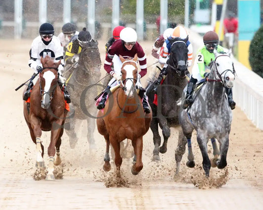 Seize The Night - The Tinsel Stakes 01-05-25 R09 Op First Turn 02 Oaklawn Park