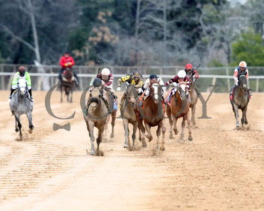 Seize The Night - The Tinsel Stakes 01-05-25 R09 Op Head On 01 Oaklawn Park