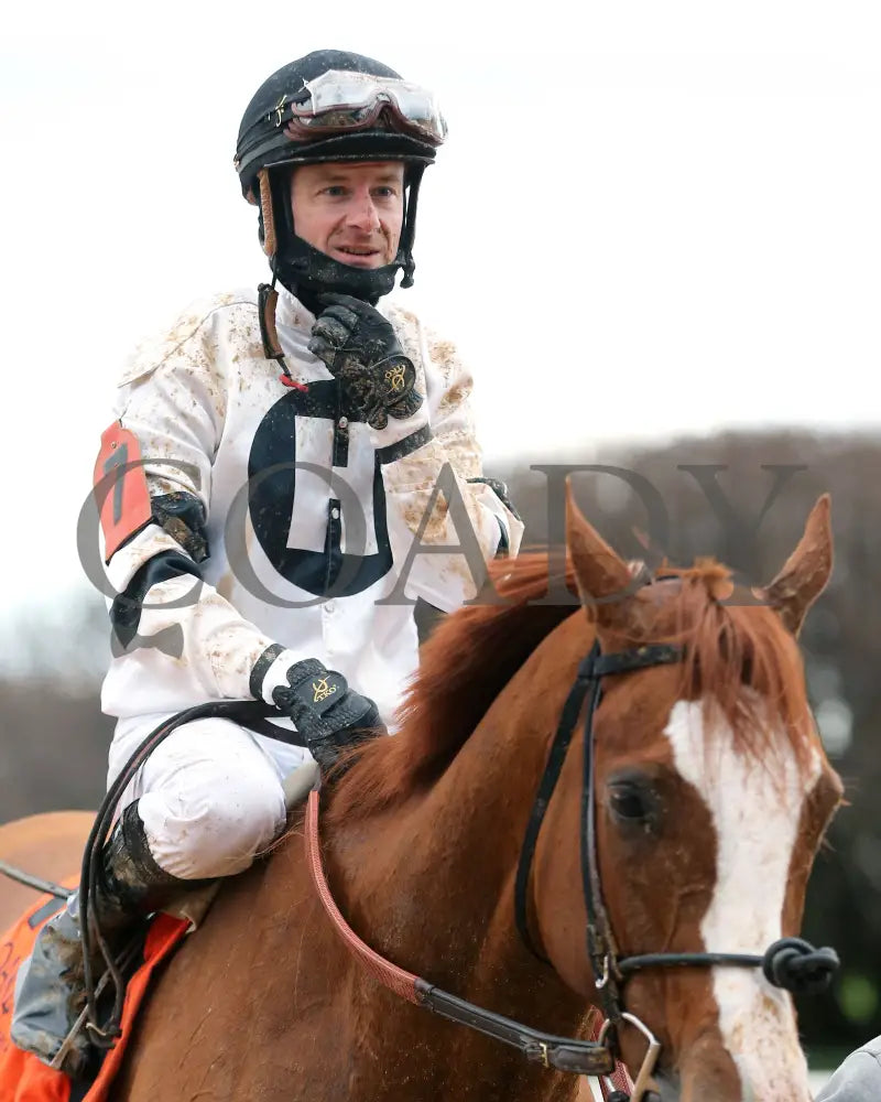 Seize The Night - The Tinsel Stakes 01-05-25 R09 Op Julien Leparoux 01 Oaklawn Park