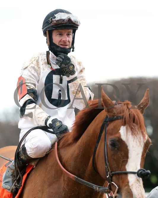 Seize The Night - The Tinsel Stakes 01-05-25 R09 Op Julien Leparoux 01 Oaklawn Park