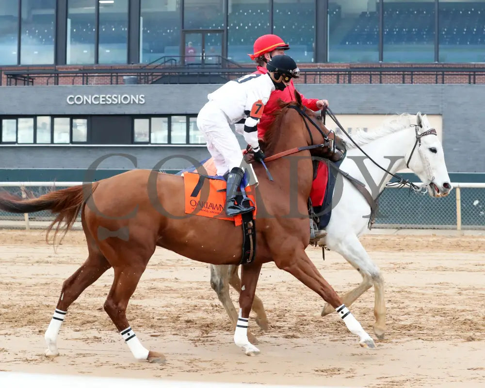 Seize The Night - The Tinsel Stakes 01-05-25 R09 Op Post Parade 02 Oaklawn Park
