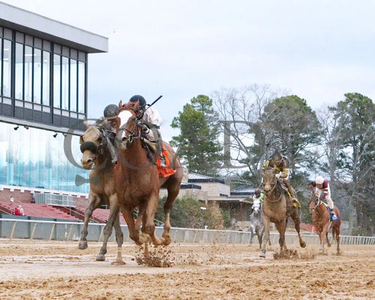 Seize The Night - The Tinsel Stakes Under Rail 01 Oaklawn Park