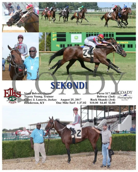 Sekondi - 082517 Race 07 Elp Ellis Park