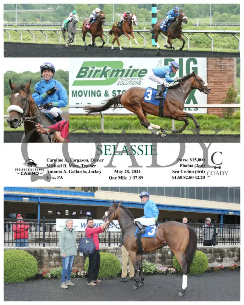 Selassie - 05-28-24 R05 Pid Presque Isle Downs
