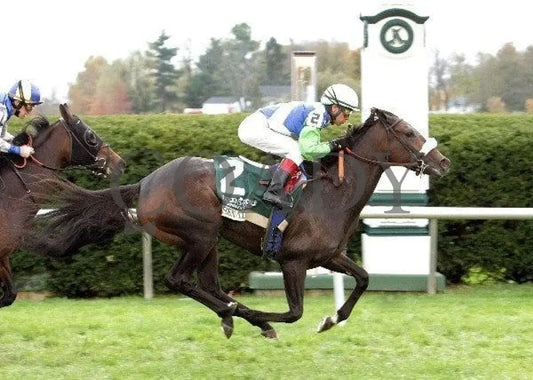 Senada - Finish The 20Th Running Of The Rood And Keeneland