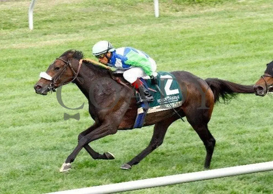 Senada - Inside Finish The 20Th Running Of The R Keeneland