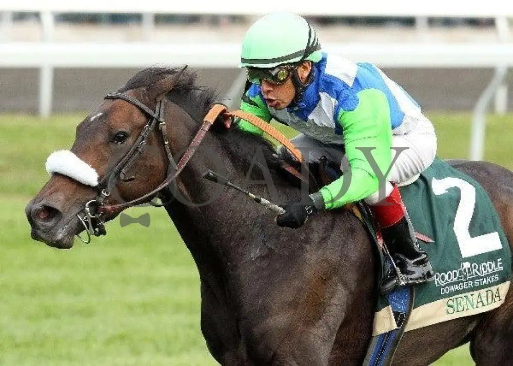 Senada - Tight Inside Finish The 20Th Running Of Keeneland