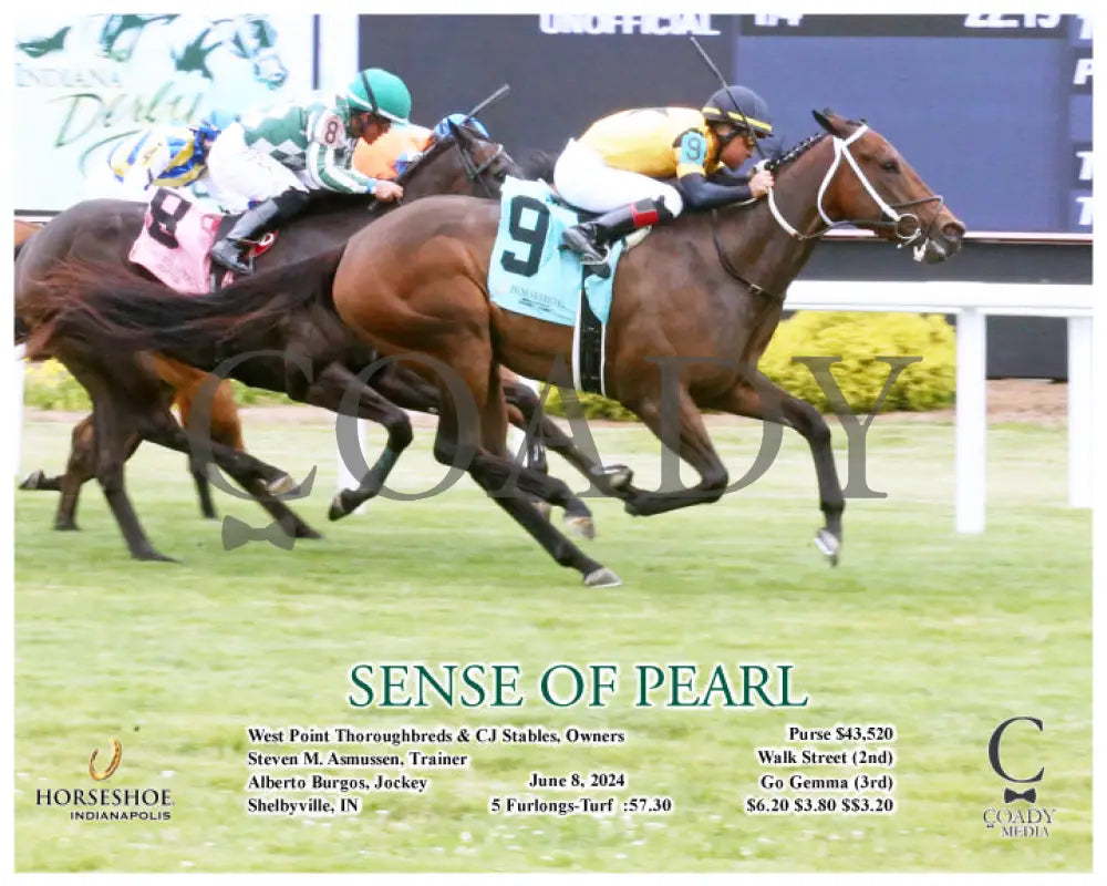Sense Of Pearl - 06-08-24 R05 Ind Action Indiana Grand