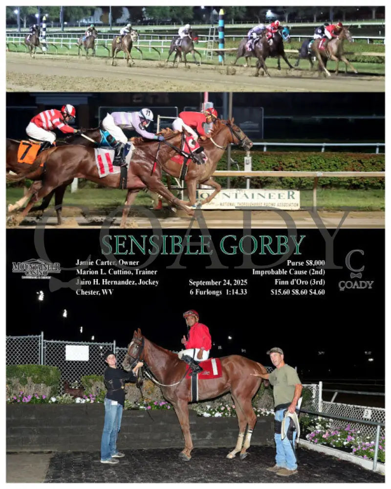 SENSIBLE GORBY - 09-24-25 - R08 - MNR Mountaineer Park