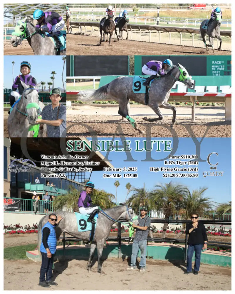 Sensible Lute - 02-05-25 R06 Tup Turf Paradise