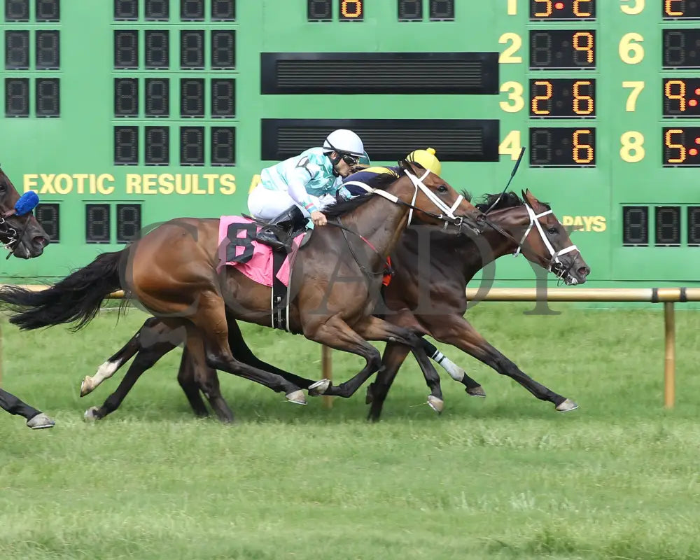SENSITIVE - Ellis Park Turf Stakes - 15th Running - 07-07-19 - R08 - ELP - Finish 01 - Coady Media - Kurtis Coady Photography