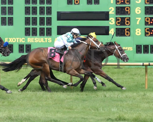 SENSITIVE - Ellis Park Turf Stakes - 15th Running - 07-07-19 - R08 - ELP - Finish 01 - Coady Media - Kurtis Coady Photography