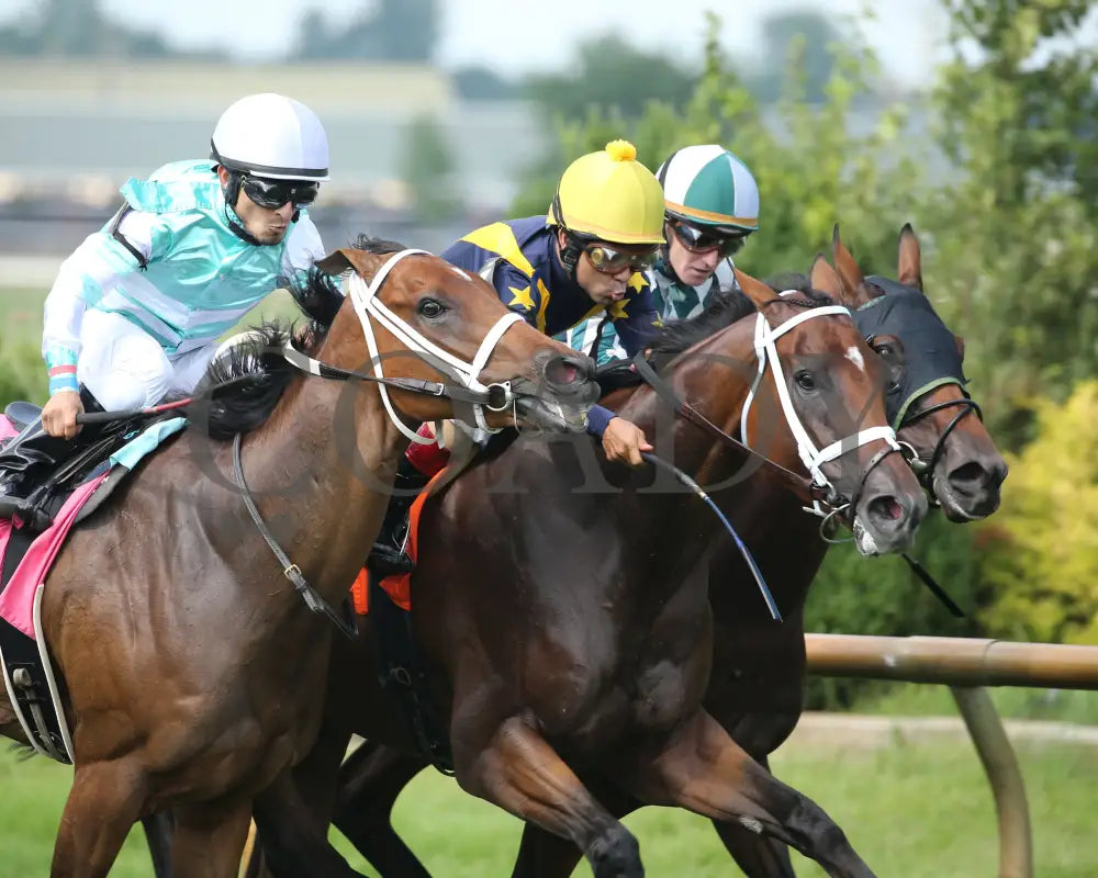 SENSITIVE - Ellis Park Turf Stakes - 15th Running - 07-07-19 - R08 - ELP - Finish 02 - Coady Media - Kurtis Coady Photography