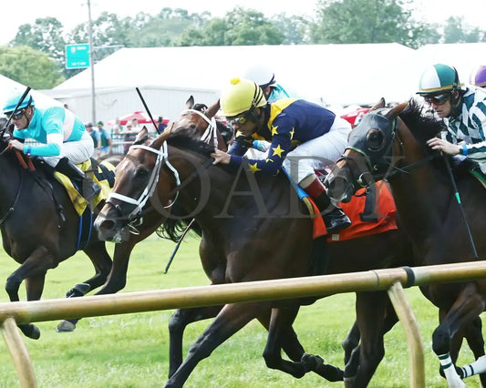 Sensitive - Ellis Park Turf Stakes 15Th Running 07-07-19 R08 Elp Inside Finish 01