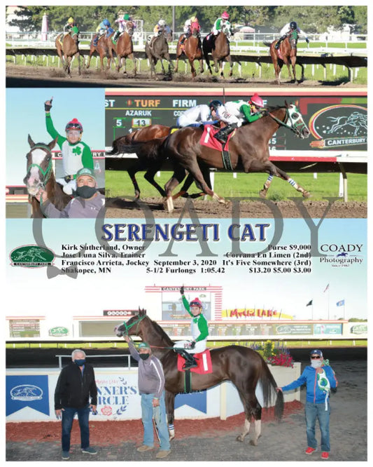 Serengeti Cat - 09-03-20 R04 Cby Canterbury Park