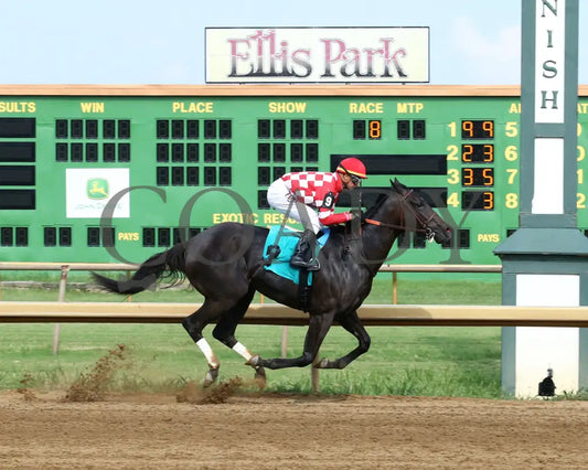 Serengeti Empress - 081918 Race 08 Elp Finish 01 Ellis Park