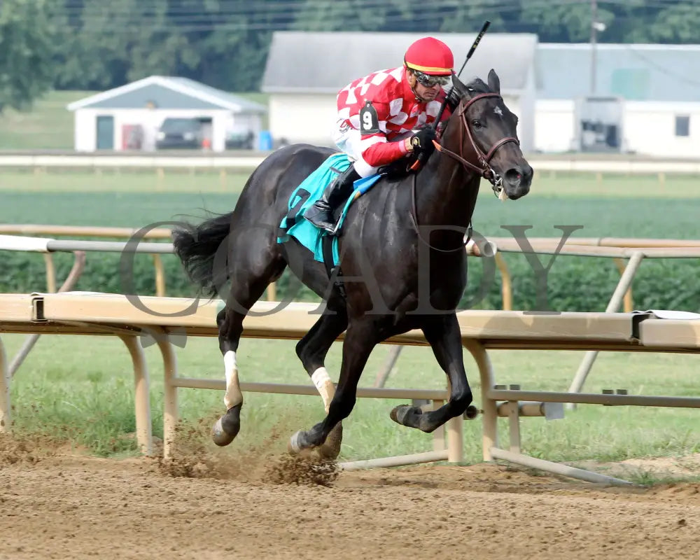 Serengeti Empress - 081918 Race 08 Elp Finish 02 Ellis Park