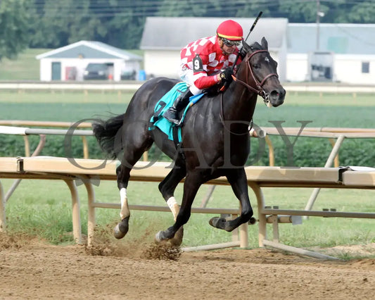 Serengeti Empress - 081918 Race 08 Elp Finish 02 Ellis Park