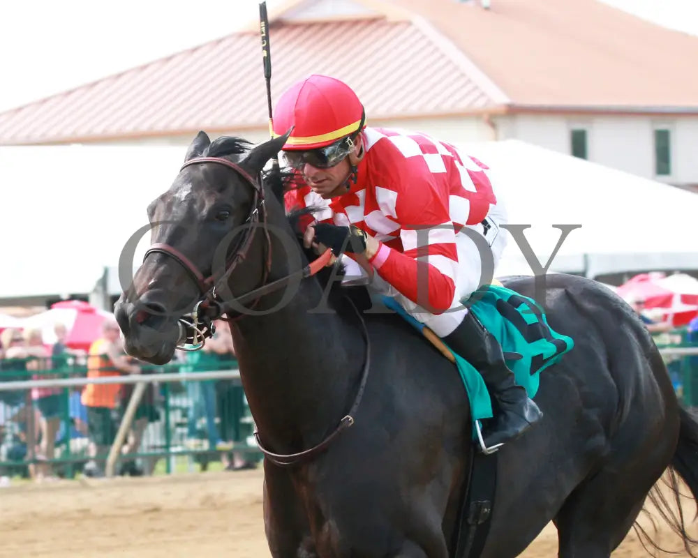 Serengeti Empress - 081918 Race 08 Elp Inside Finish 01 Ellis Park