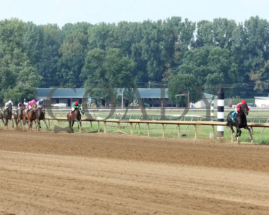 Serengeti Empress - 081918 Race 08 Elp Up The Track 01 Ellis Park