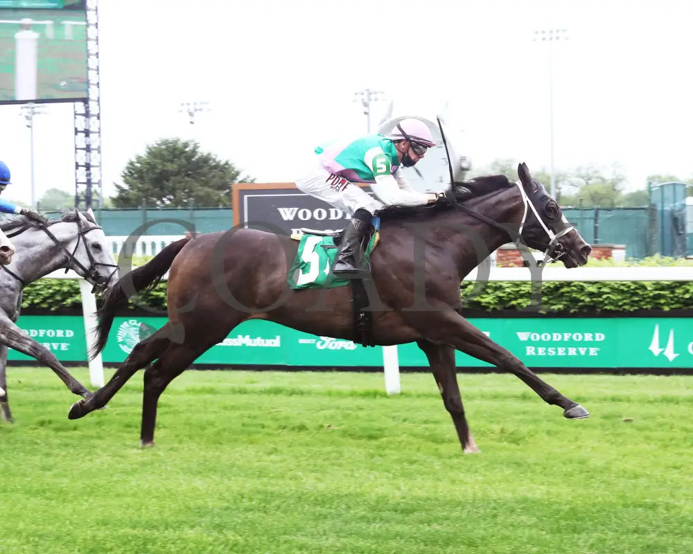 Set Piece - The Opening Verse Stakes 16Th Running 04-29-21 R08 Cd Finish 01 Churchill Downs