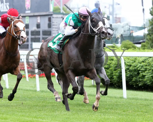 Set Piece - The Opening Verse Stakes 16Th Running 04-29-21 R08 Cd Finish 02 Churchill Downs