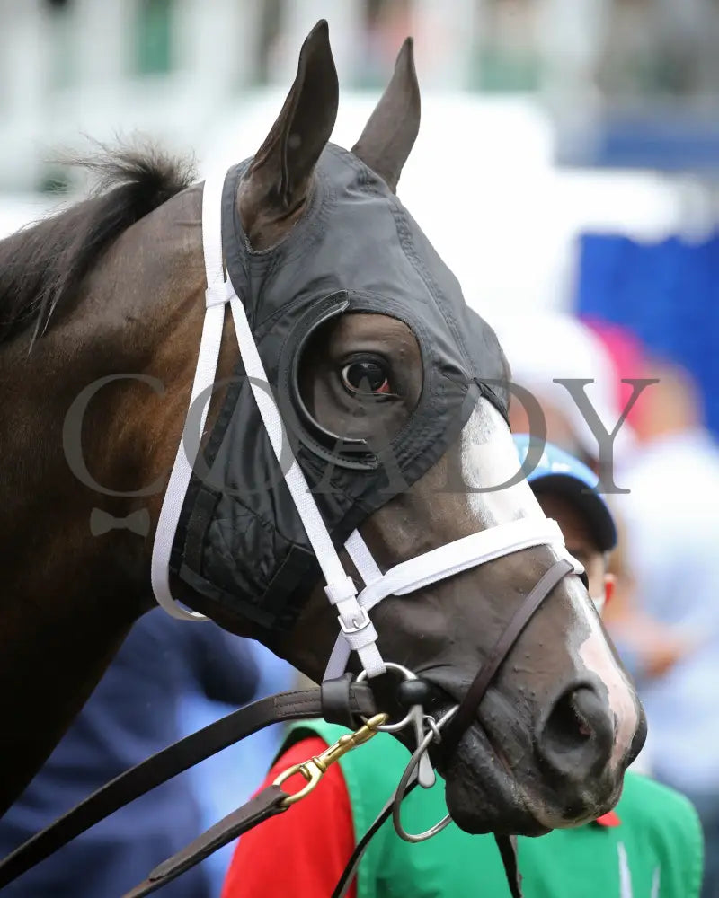 Set Piece - The Opening Verse Stakes 16Th Running 04-29-21 R08 Cd Paddock 01 Churchill Downs