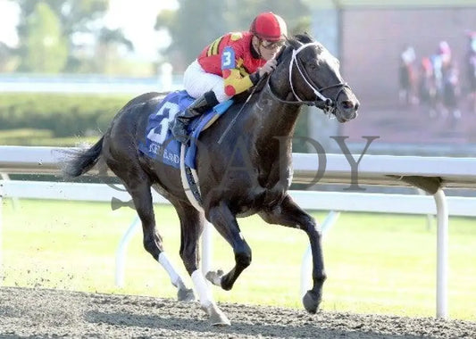 Seven Lively Sins - Proof 2 100711 Race 06 Keeneland